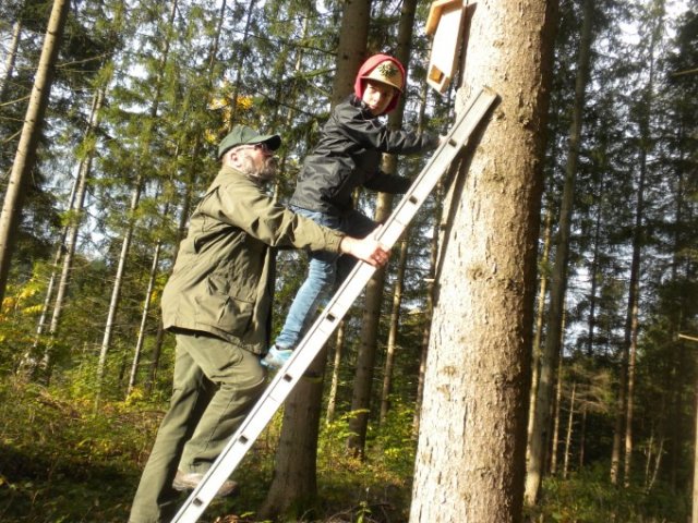 Nistkästen für Fledermäuse